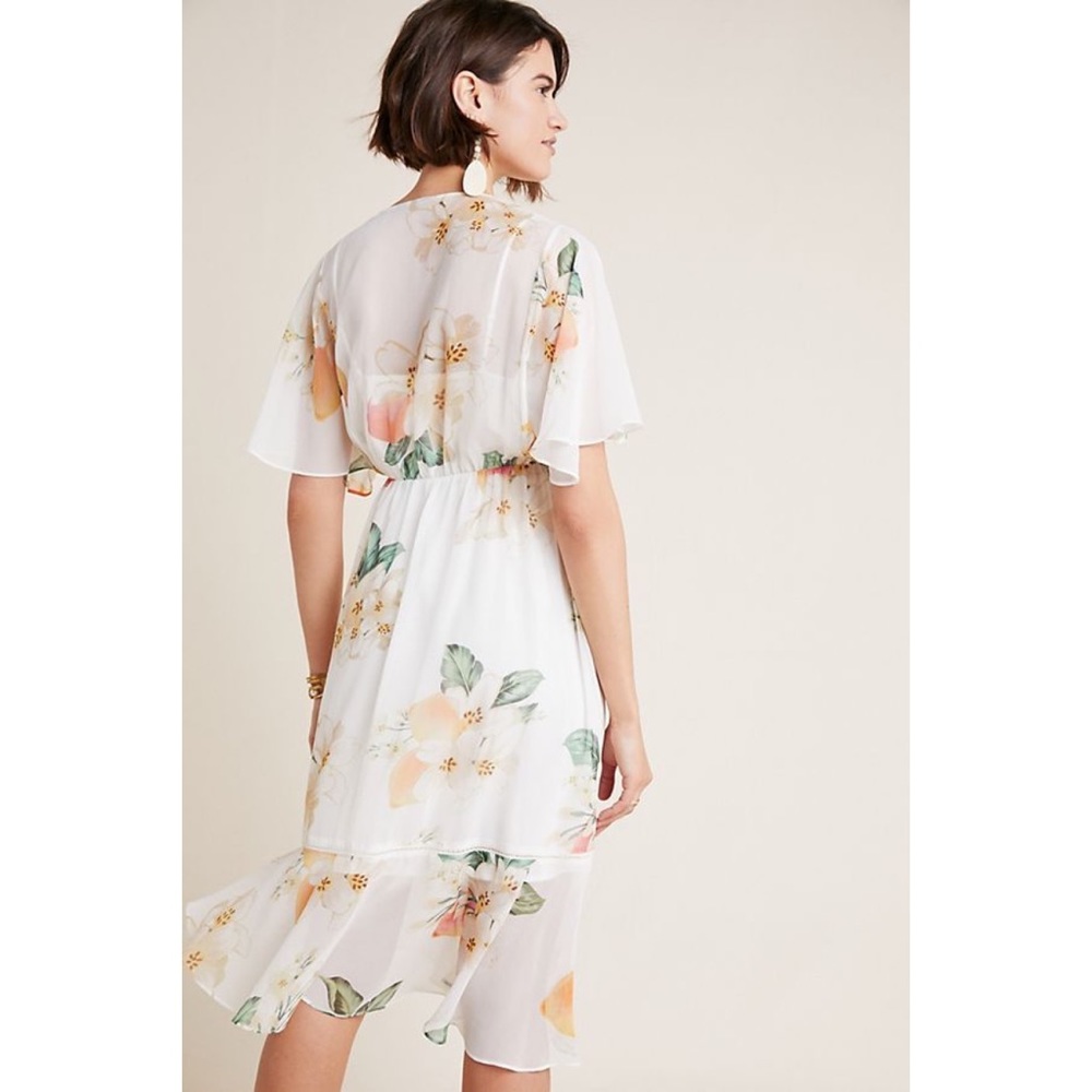 Farm Rio x Anthro. Eloisa Floral Dress - Picture 3 of 4
